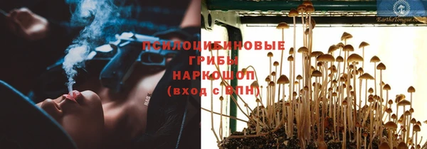 скорость Алексин