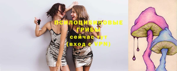 твердый Алзамай