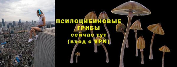 2c-b Алексеевка