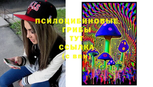 2c-b Алексеевка