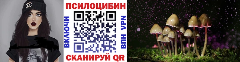 купить наркоту  Певек  Псилоцибиновые грибы GOLDEN TEACHER 